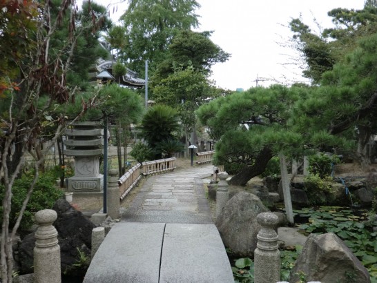 本照寺の庭園